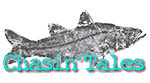 chasin scroll logo
