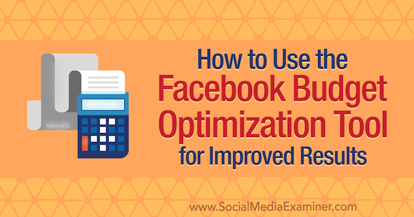 facebook budget optimization tool how to 600