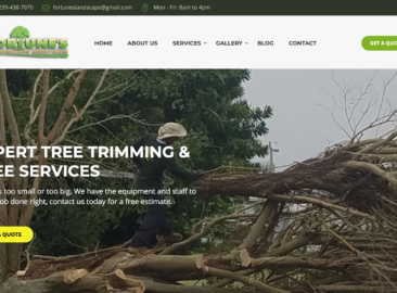 Marco Island Tree Service