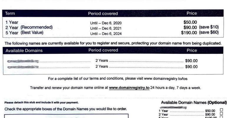 Domain Scam