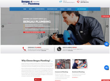 bergauplumbing com 1608008599352